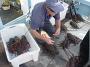 Tuncurry-PhilRoach 065